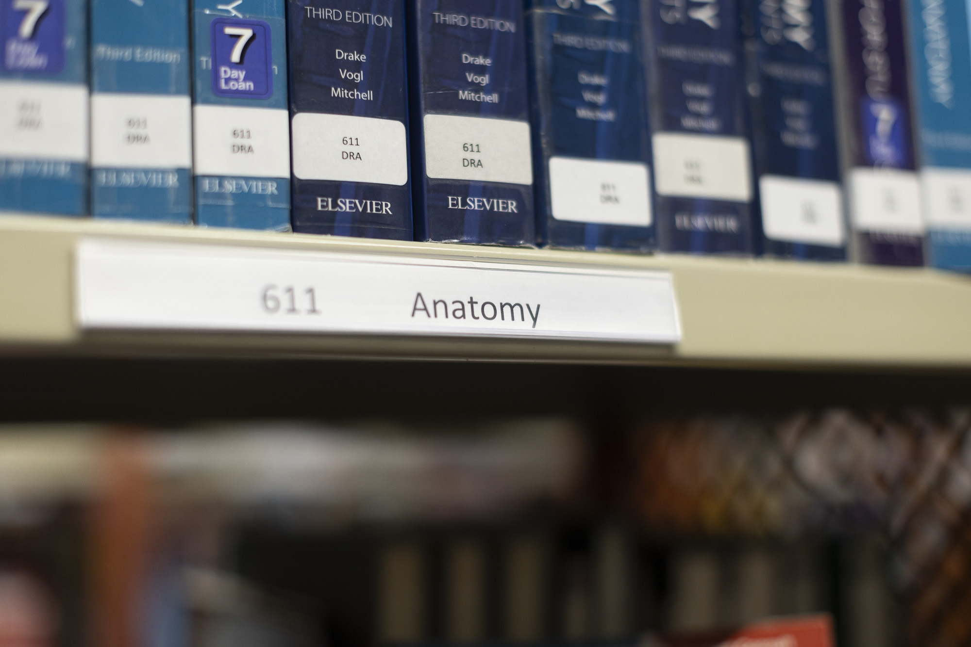 anatomy books